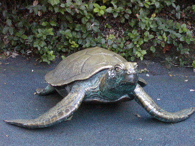 picture of bronze turtle