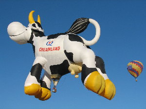 pic of cow balloon