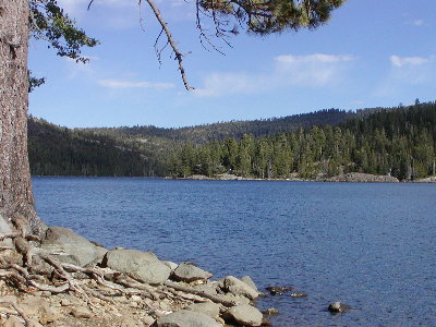 picture of Sardine Lake
